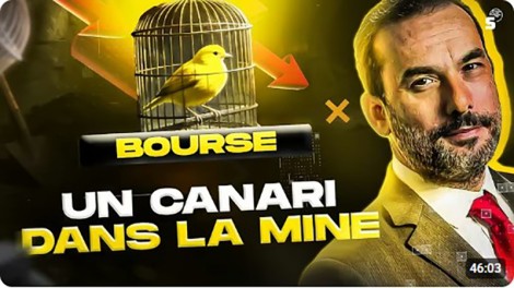 Synapses | Sébastien Korchia Synapses | Sébastien Korchia